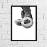 Hanging Sloth Black & White Animal Nursery Children's Room Wall Decor Print