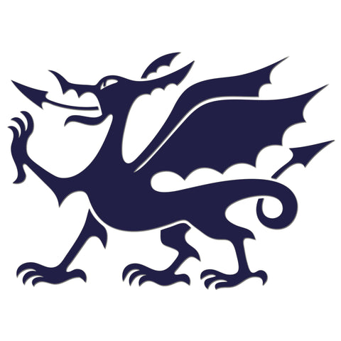 Welsh Dragon Iron On HTV Transfer