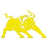 Bull Raton Iron On HTV Transfer
