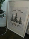 Brand NEW Fresh Christmas Trees Simple Christmas Seasonal Wall Home Decor Print